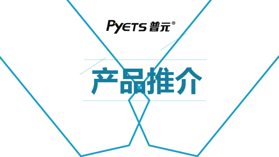 Manuale di promozione elettronica di Pyets 2024.pdf