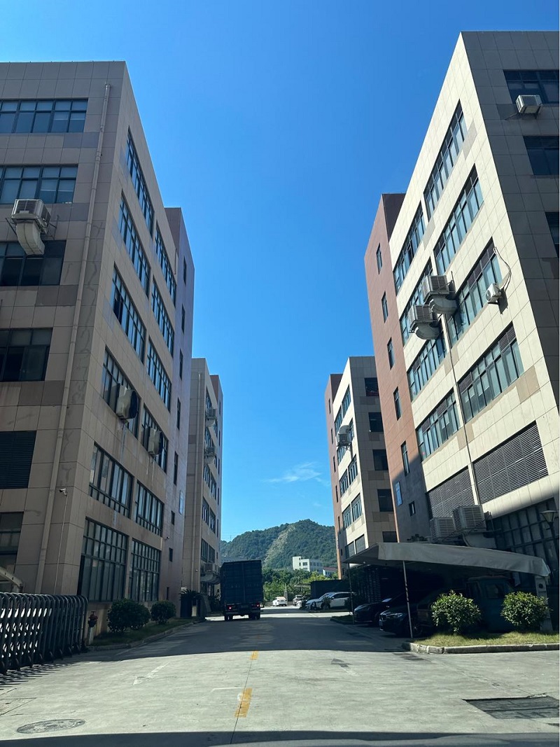 La costruzione del nuovo stabilimento dell'azienda sta procedendo costantemente, con aggiornamenti strategici che supportano la sua espansione fino ad una capacità produttiva di un milione di unità.