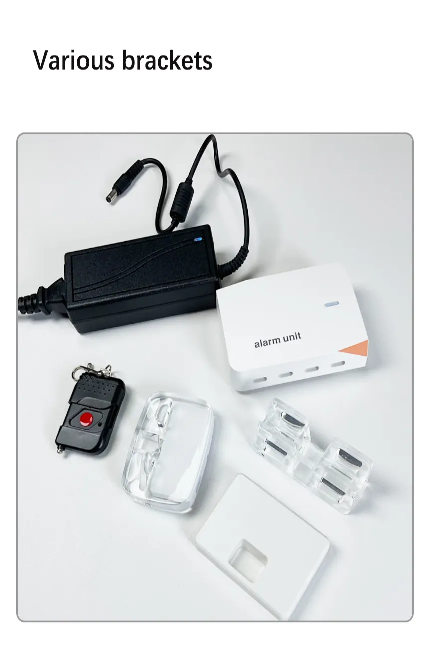 Close-up view of multi-port anti-theft host ports and wiring details